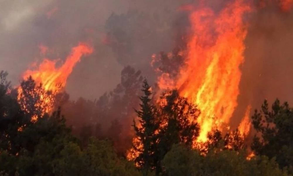 ΓΓΠΠ: Πολύ υψηλός κίνδυνος πυρκαγιάς τη Δευτέρα - Δείτε τον χάρτη